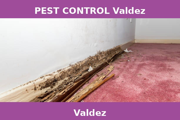PEST CONTROL Valdez